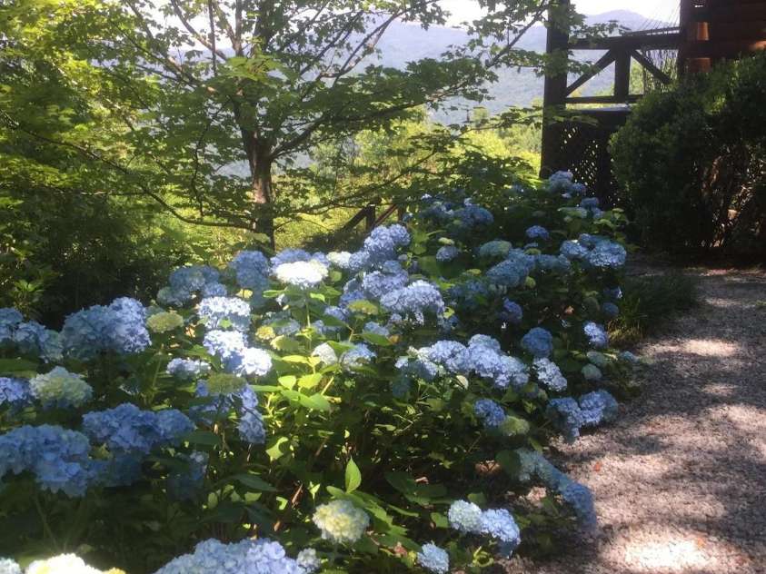 282 H and H Trail, Black Mountain, NC 28711.  MLS# CAR4267235, YatesRealty ID 22360. 