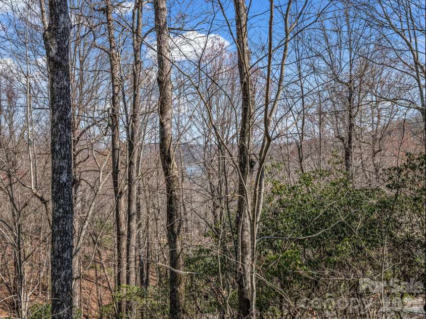 177 Tsisqua Circle, Brevard, NC 28712.  MLS# CAR4341526, YatesRealty ID 22465. 