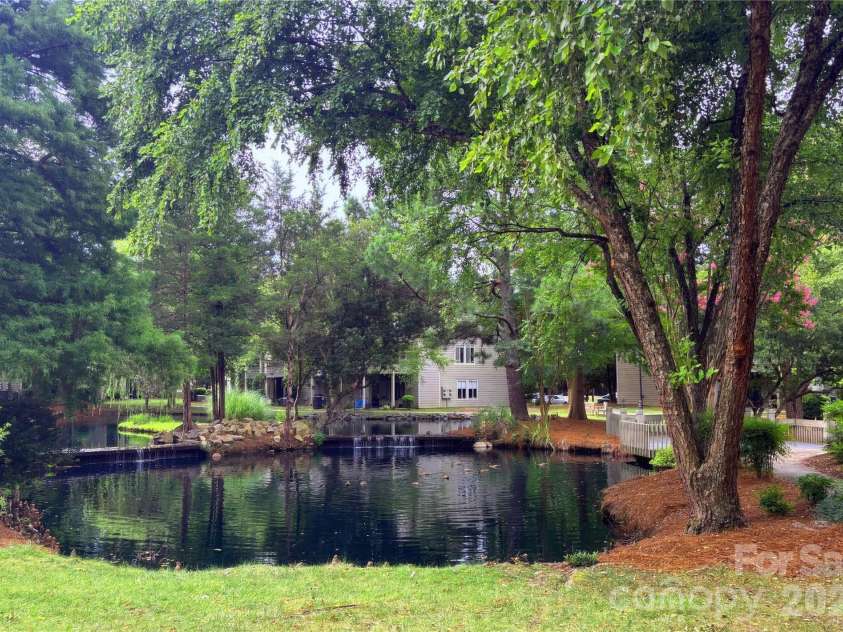 2536 Stradbrook Drive, Charlotte, NC 28210.  MLS# CAR4405093, YatesRealty ID 22476. Community pond