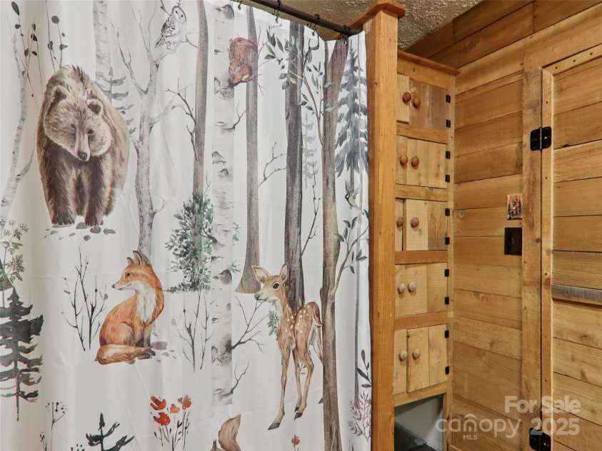 32 Saunooke Road, Asheville, NC 28805.  MLS# CAR4275674, YatesRealty ID 22486. 