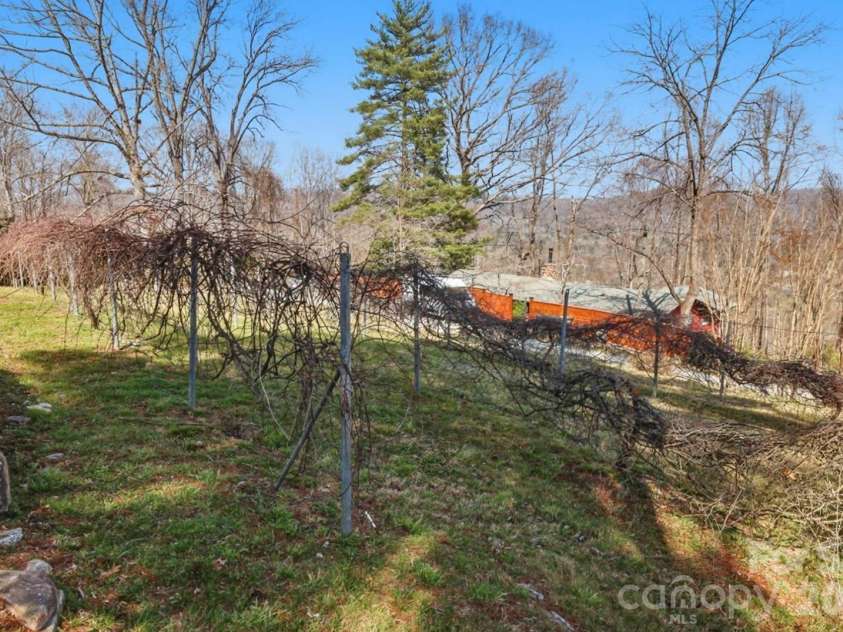 1032 Brightwater Drive, Hendersonville, NC 28739.  MLS# CAR4361176, YatesRealty ID 22490. Grape vines...