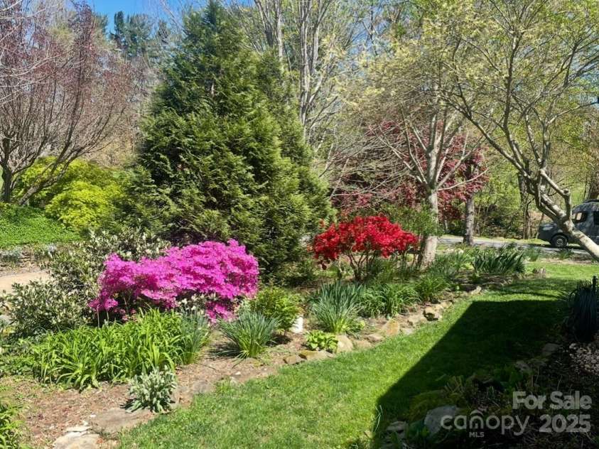 50 Midland Drive, Asheville, NC 28804.  MLS# CAR4223405, YatesRealty ID 2251. Front Yard Spring Flowers