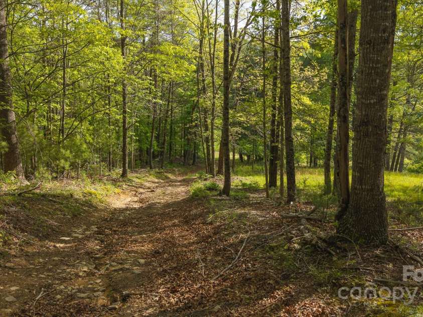 559 Mouth Of Silas Creek Road, Lansing, NC 28643.  MLS# CAR4263393, YatesRealty ID 22629. 