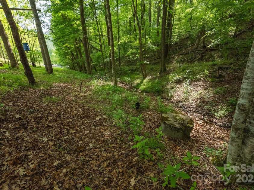 559 Mouth Of Silas Creek Road, Lansing, NC 28643.  MLS# CAR4263393, YatesRealty ID 22629. 