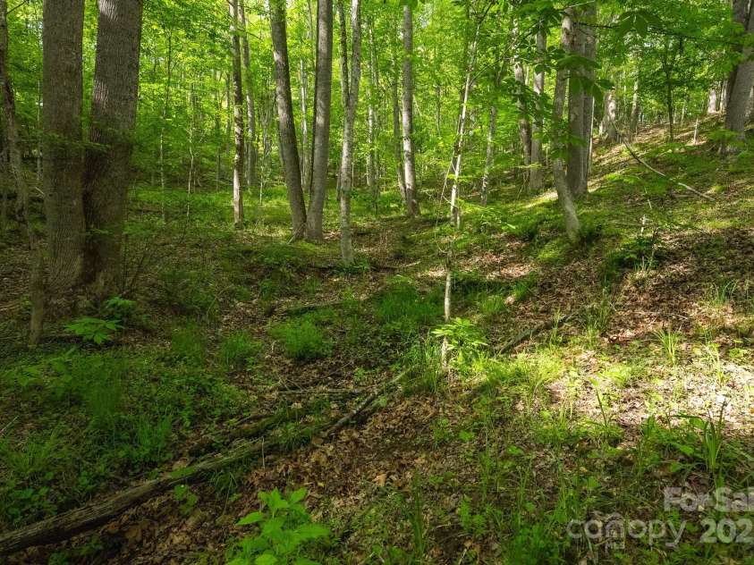 559 Mouth Of Silas Creek Road, Lansing, NC 28643.  MLS# CAR4263393, YatesRealty ID 22629. 