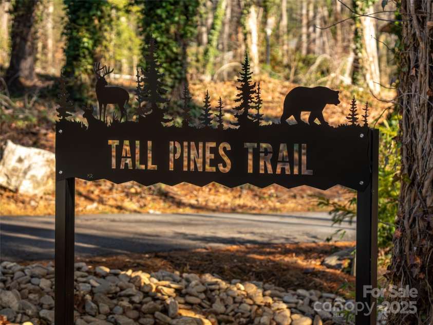 18 Tall Pines Trail, Arden, NC 28704.  MLS# CAR4330201, YatesRealty ID 2272. 