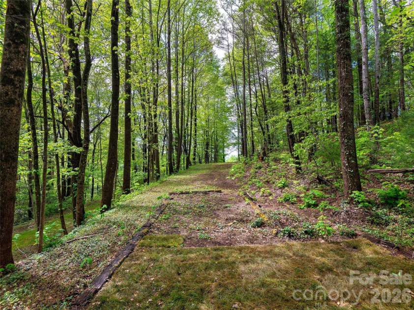 209 Ivy Hill Road, Hendersonville, NC 28792.  MLS# CAR4376204, YatesRealty ID 22760. Back Yard