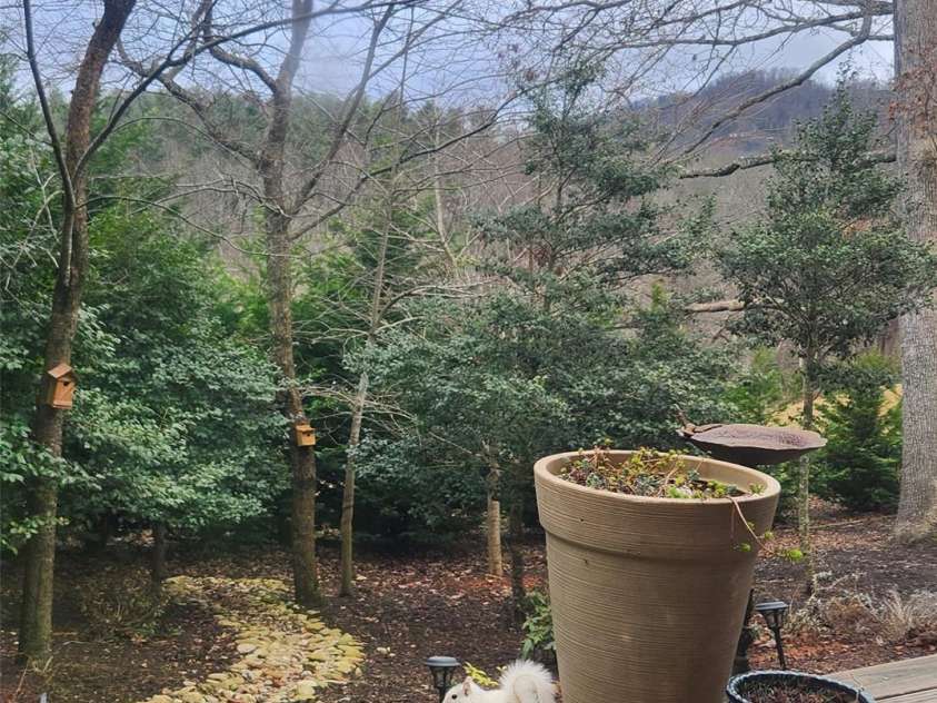30 Asher Lane, Arden, NC 28704.  MLS# CAR4248571, YatesRealty ID 22768. There's even a white squirrel who loves it here! 