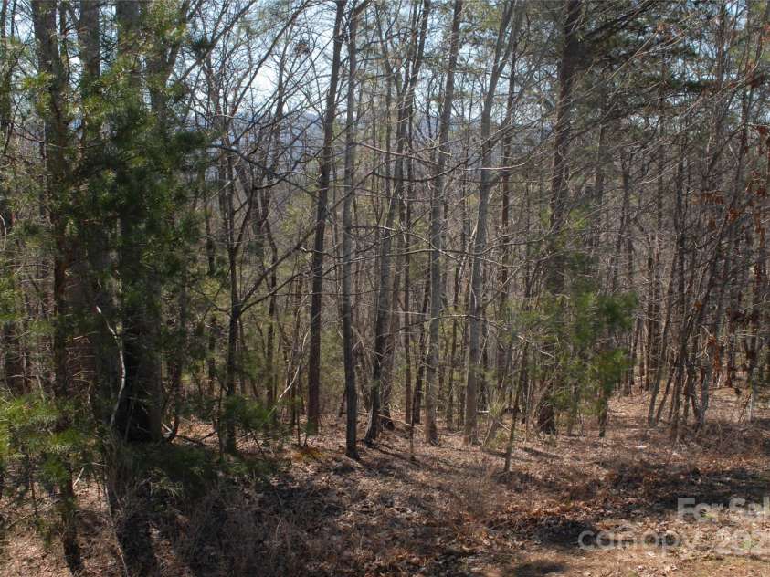 00 Deep Gap Farm Road, Mill Spring, NC 28756.  MLS# CAR4202904, YatesRealty ID 2277. 