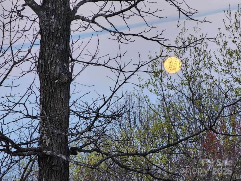 186 Black Ridge Drive, Bostic, NC 28018.  MLS# CAR4289461, YatesRealty ID 2277. 