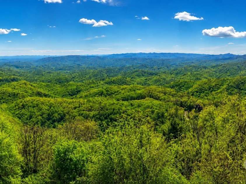 1938 Main Street, Blowing Rock, NC 28605.  MLS# CAR4382801, YatesRealty ID 22773. 
