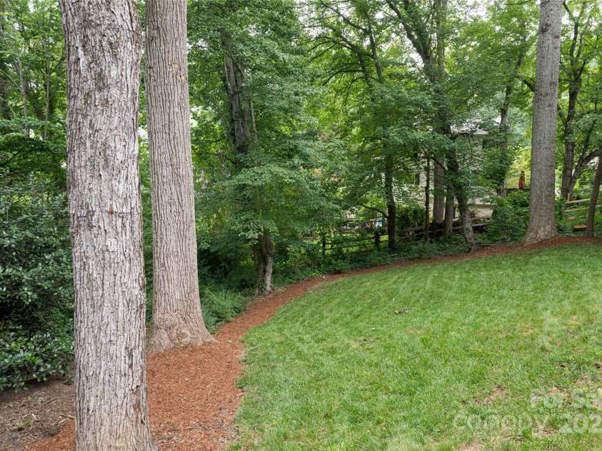 106 Goldfinch Lane, Asheville, NC 28803.  MLS# CAR4274925, YatesRealty ID 22785. Backyard