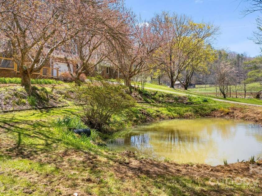 6334 Jacks Creek Road, Burnsville, NC 28714.  MLS# CAR4259403, YatesRealty ID 22798. Mature perennial planting throughout the grounds, brings new beginnings each day to the farm.