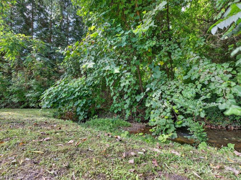 160 Howard Street, Tryon, NC 28782.  MLS# CAR4297948, YatesRealty ID 2281. 