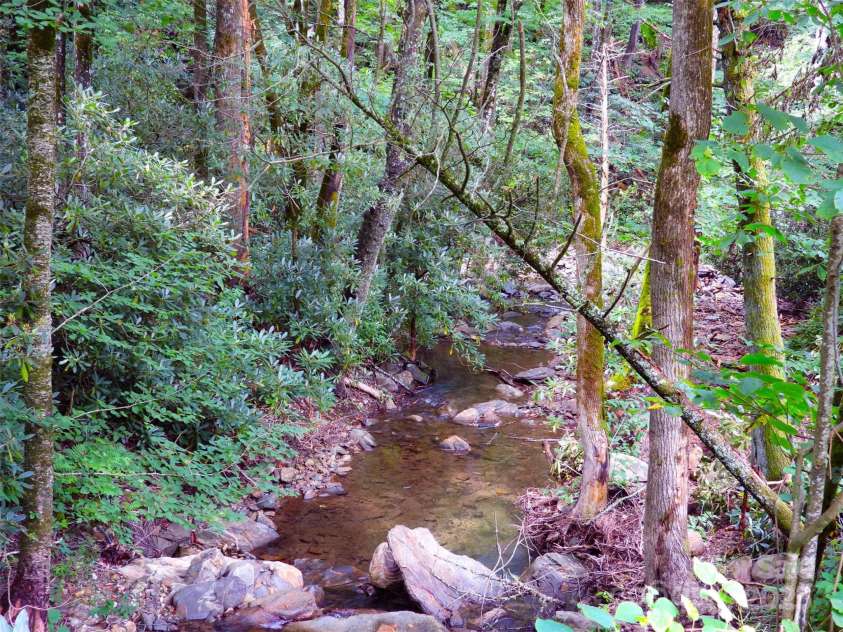 613 Hungry Creek Road, Canton, NC 28716.  MLS# CAR4289195, YatesRealty ID 2284. 
