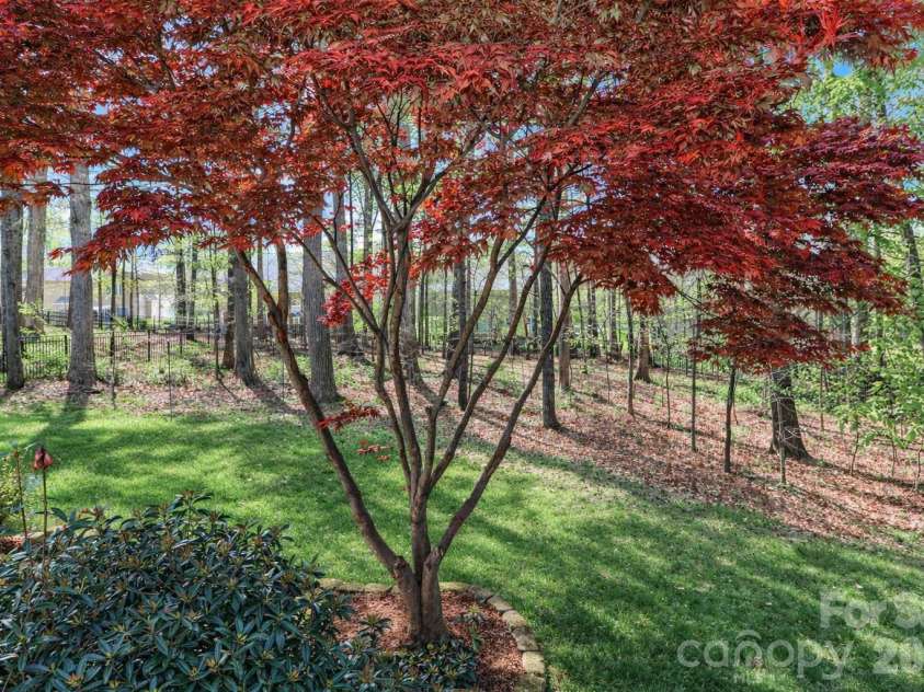 158 Forest Walk Way, Mooresville, NC 28115.  MLS# CAR4360572, YatesRealty ID 22893. 