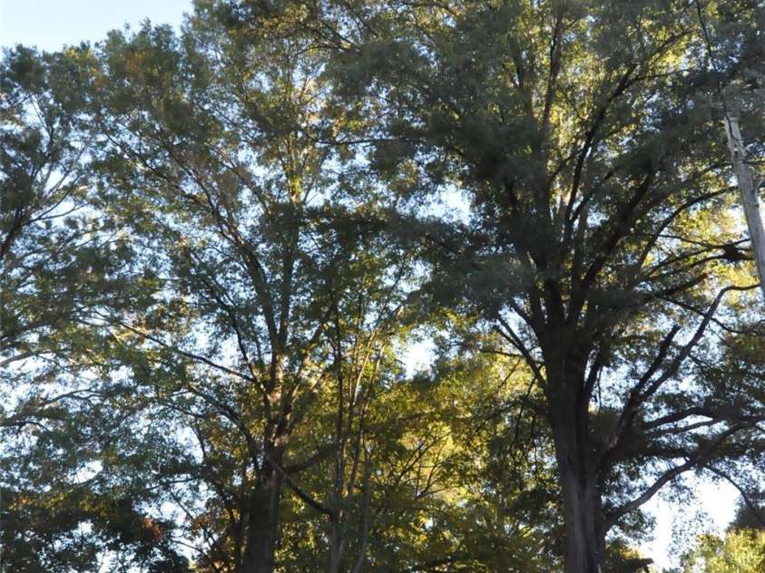 109 Hardin Street, Chester, SC 29706.  MLS# CAR4315865, YatesRealty ID 229. 