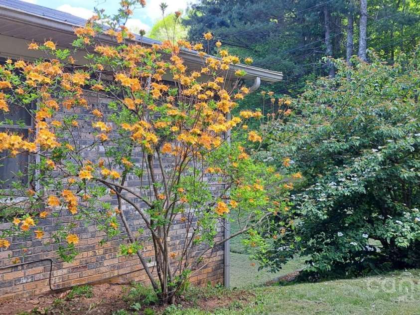 145 Appalachian Drive, Burnsville, NC 28714.  MLS# CAR4164720, YatesRealty ID 2292. 