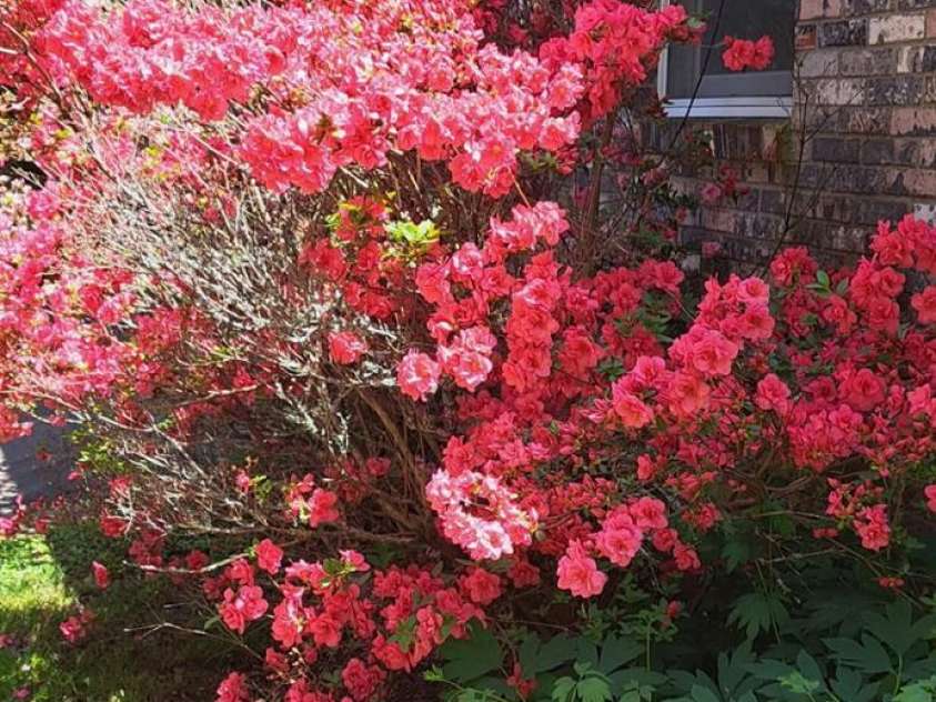 145 Appalachian Drive, Burnsville, NC 28714.  MLS# CAR4164720, YatesRealty ID 2292. 