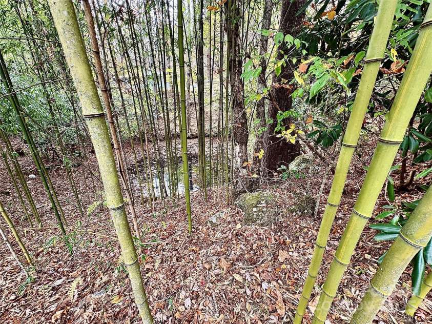 875 Carson Creek Road, Brevard, NC 28712.  MLS# CAR4316362, YatesRealty ID 2294. 