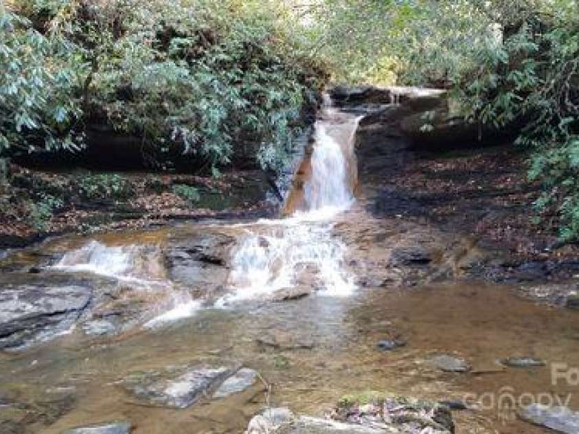 259 Dvdegi Court, Brevard, NC 28712.  MLS# CAR4248889, YatesRealty ID 22965. 20+ miles of private hiking trails in the community