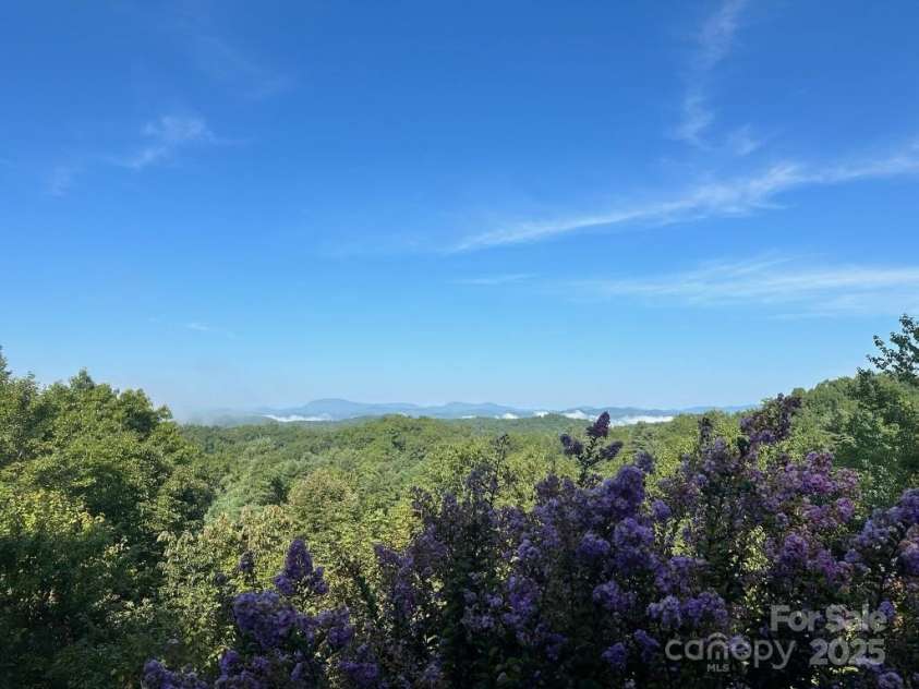 259 Dvdegi Court, Brevard, NC 28712.  MLS# CAR4248889, YatesRealty ID 22965. Carolina Blue skies