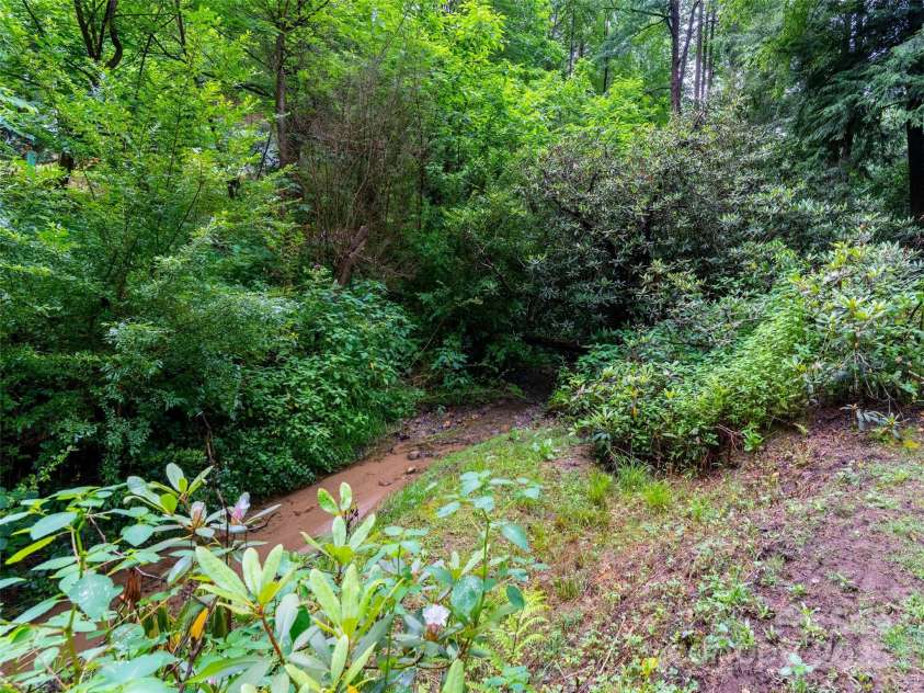 18 Hill Street, Saluda, NC 28773.  MLS# CAR4271722, YatesRealty ID 22979. A gentle stream borders the property.