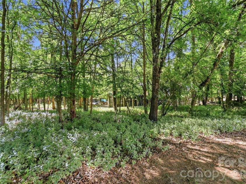 4710 Benridge Lane, Charlotte, NC 28226.  MLS# CAR4379660, YatesRealty ID 22980. 