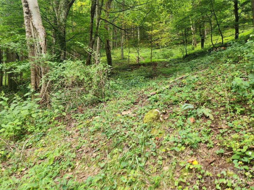 1925 Fork Road, Marshall, NC 28753.  MLS# CAR4298789, YatesRealty ID 23. 