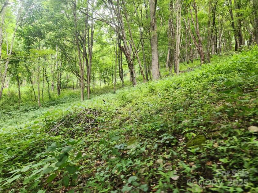 1925 Fork Road, Marshall, NC 28753.  MLS# CAR4298789, YatesRealty ID 23. 