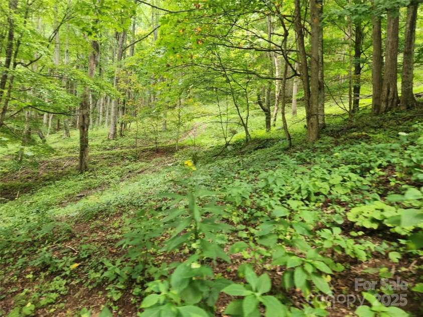 1925 Fork Road, Marshall, NC 28753.  MLS# CAR4298789, YatesRealty ID 23. 