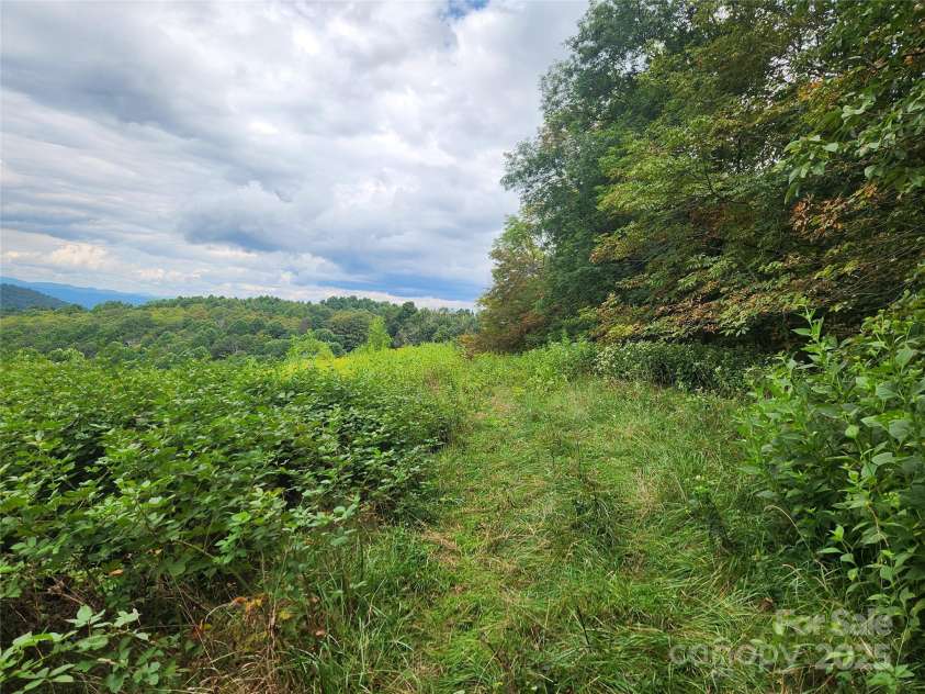 1925 Fork Road, Marshall, NC 28753.  MLS# CAR4298789, YatesRealty ID 23. 