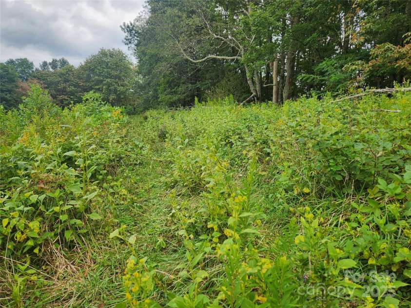 1925 Fork Road, Marshall, NC 28753.  MLS# CAR4298789, YatesRealty ID 23. 