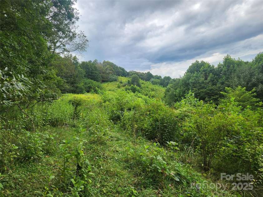 1925 Fork Road, Marshall, NC 28753.  MLS# CAR4298789, YatesRealty ID 23. 