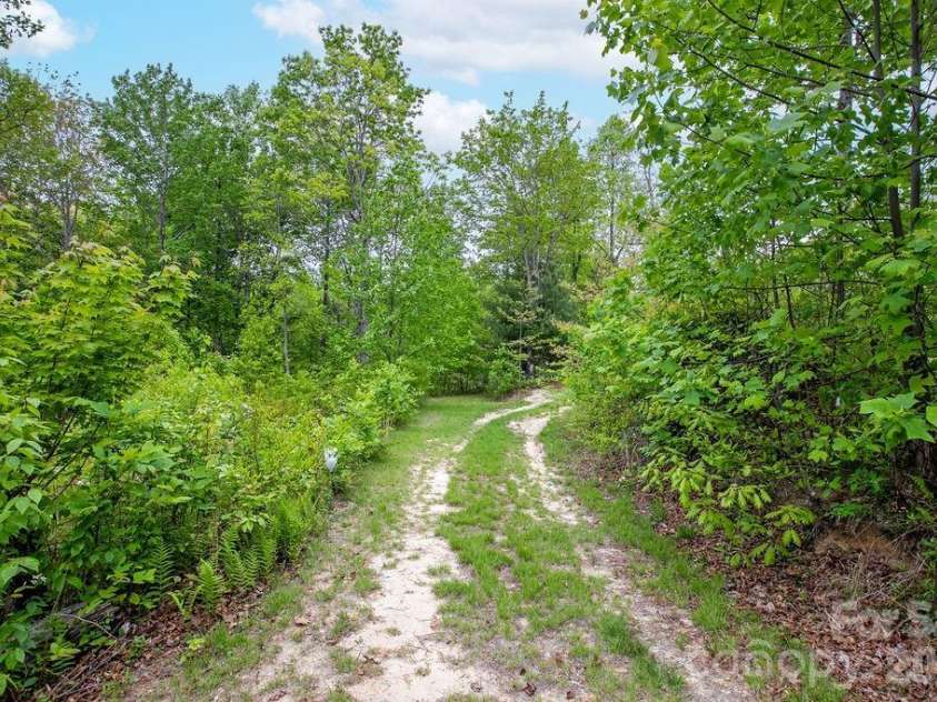 111 Wild Hog Creek Road, Rosman, NC 28772.  MLS# CAR4380401, YatesRealty ID 23035. Roads Throughout