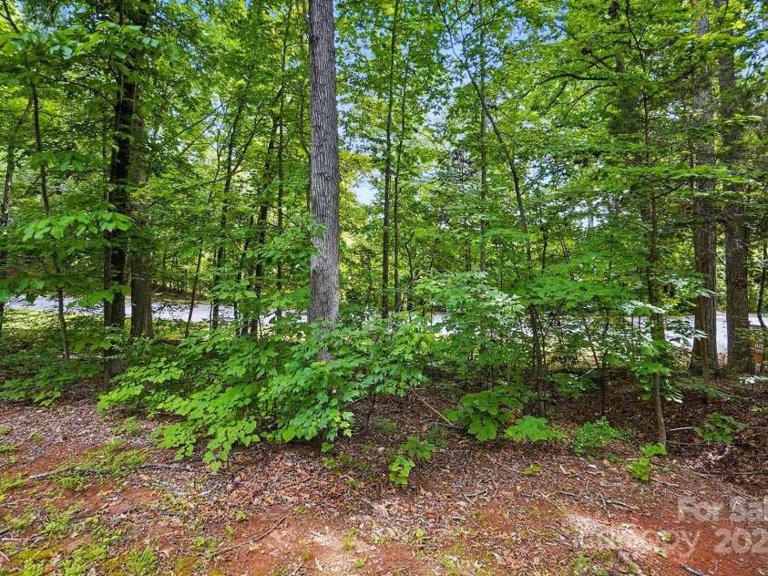 392 Tall Oaks Trail, Fort Mill, SC 29715.  MLS# CAR4257699, YatesRealty ID 23036. Backyard