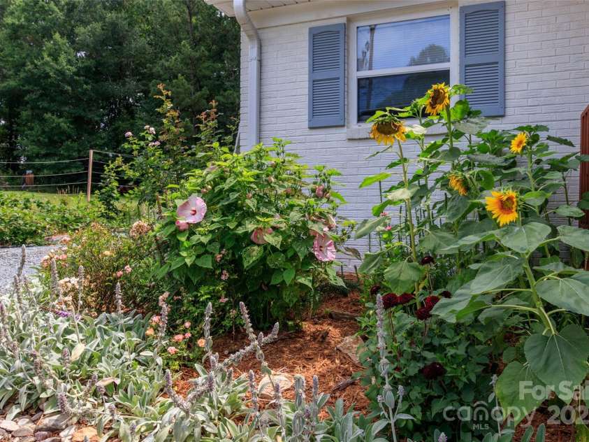 10743 Ola Drive, Indian Land, SC 29707.  MLS# CAR4259123, YatesRealty ID 23070. 