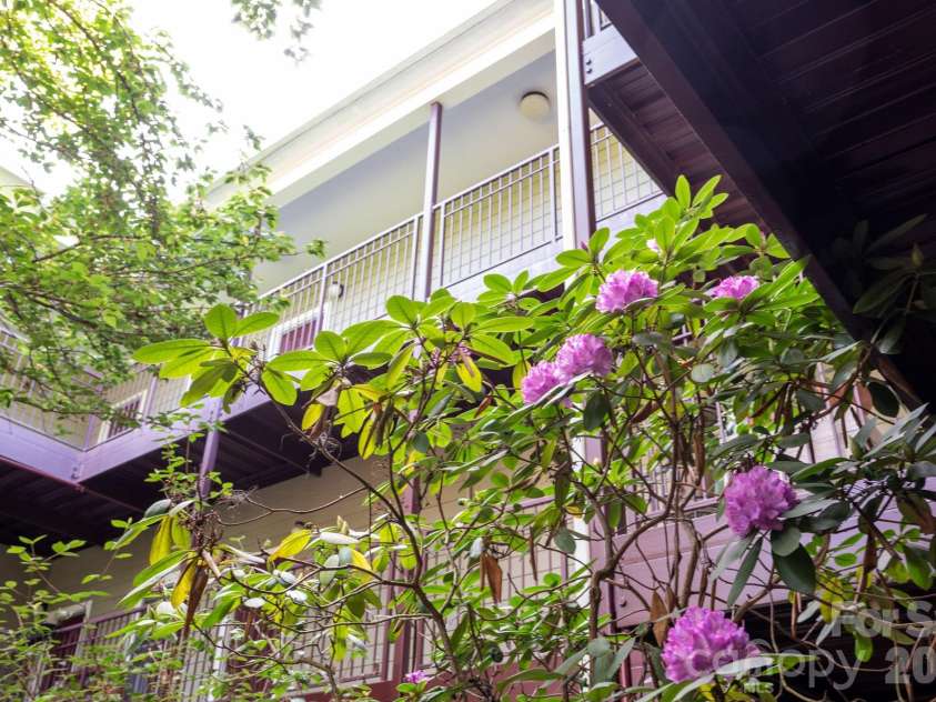 64 Clingman Avenue, Asheville, NC 28801.  MLS# CAR4371105, YatesRealty ID 23076. Open-air atrium