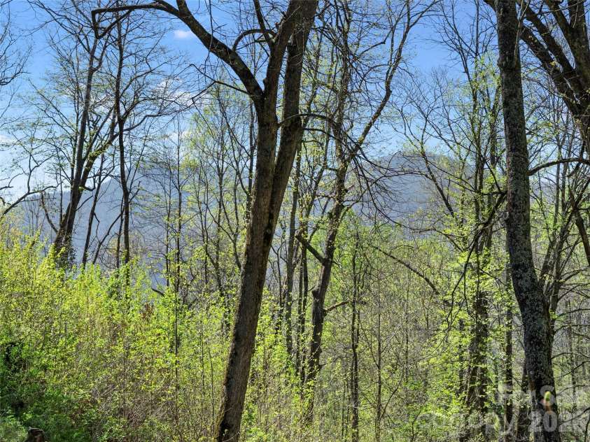 79 Ward Road, Maggie Valley, NC 28751.  MLS# CAR4374257, YatesRealty ID 23086. 