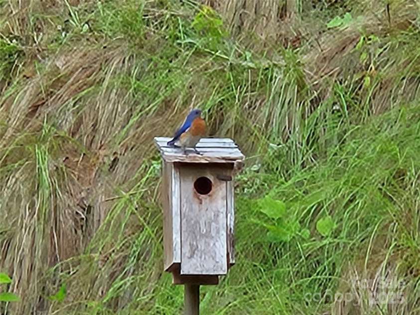 3934 Cabin Creek Road, Zirconia, NC 28790.  MLS# CAR4246452, YatesRealty ID 23107. 