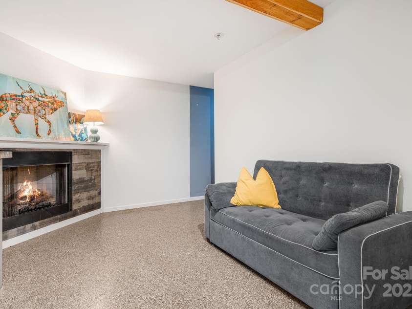 25 Frannys Farm Road, Leicester, NC 28748.  MLS# CAR4269407, YatesRealty ID 23129. Basement Lounge