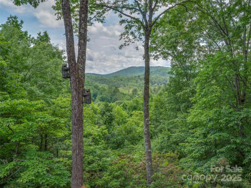 206 Tom Fazio Trace, Hendersonville, NC 28739.  MLS# CAR4274097, YatesRealty ID 23148. 