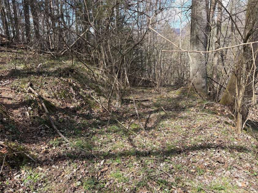 8951 US 25/70 Highway, Marshall, NC 28753.  MLS# CAR4244987, YatesRealty ID 232. 