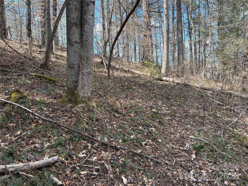 8951 US 25/70 Highway, Marshall, NC 28753.  MLS# CAR4244987, YatesRealty ID 232. 