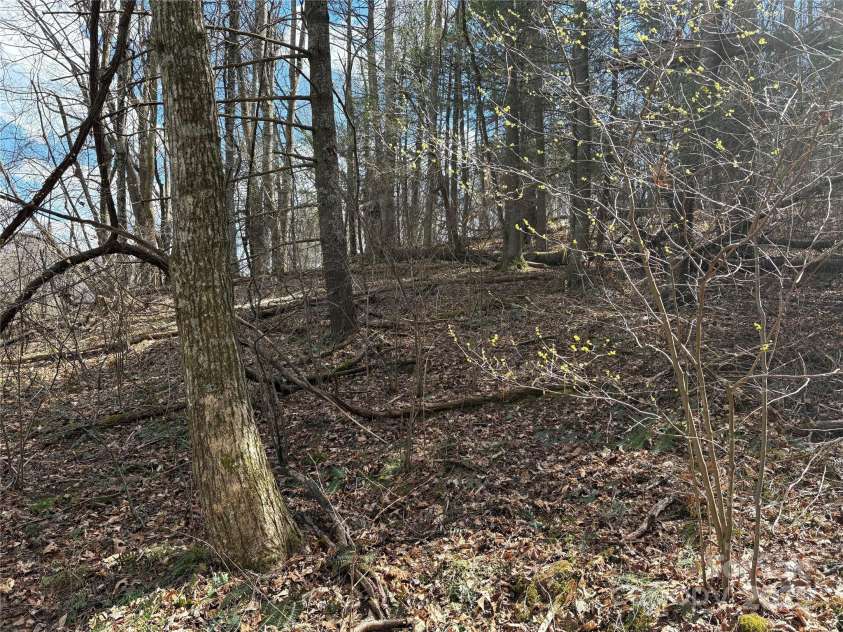 8951 US 25/70 Highway, Marshall, NC 28753.  MLS# CAR4244987, YatesRealty ID 232. 