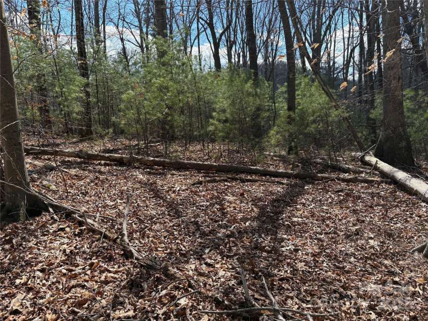 8951 US 25/70 Highway, Marshall, NC 28753.  MLS# CAR4244987, YatesRealty ID 232. 