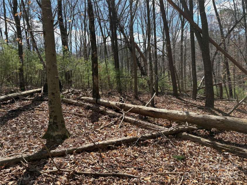 8951 US 25/70 Highway, Marshall, NC 28753.  MLS# CAR4244987, YatesRealty ID 232. 