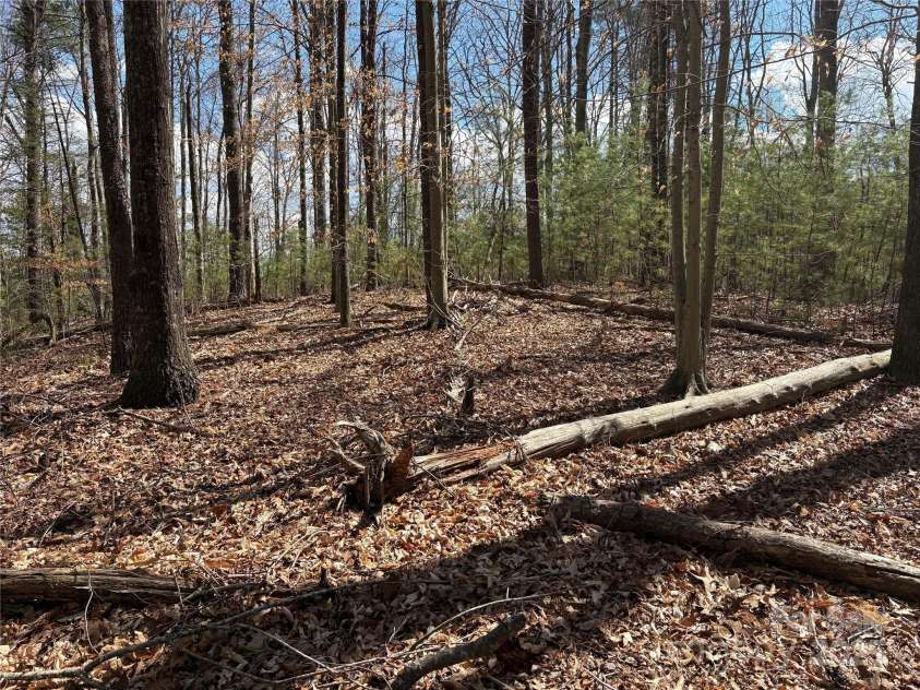 8951 US 25/70 Highway, Marshall, NC 28753.  MLS# CAR4244987, YatesRealty ID 232. 