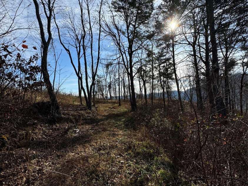 989 High Rock View Drive, Canton, NC 28716.  MLS# CAR4234731, YatesRealty ID 2320. 