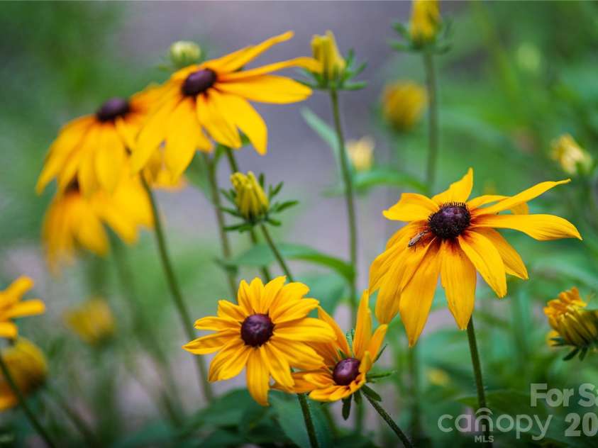 109 Paradise Circle, Clyde, NC 28721.  MLS# CAR4341580, YatesRealty ID 23219. 